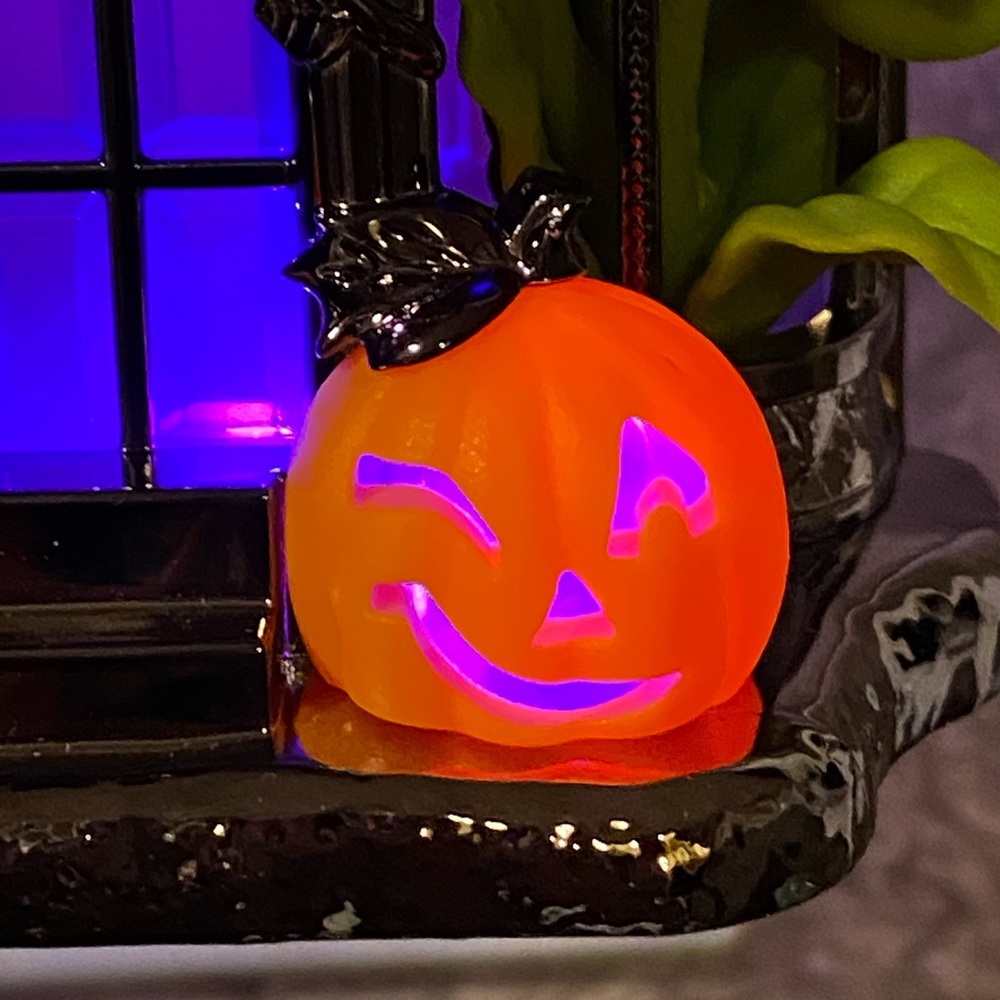 HAUNTED HOUSE CONSERVATORY NIGHTLIGHT PROJECTOR CHECK OUT PHOTOS - Picture 4 of 13